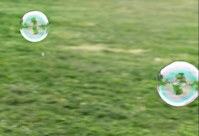 "Two soap bubbles floating in the air against a blurred green grassy background. The bubbles have a translucent, iridescent quality, reflecting the surroundings in a distorted manner. The reflections show hints of trees and the sky, captured within the bubbles' surfaces. The focus is primarily on the bubbles, with the background softly out of focus."